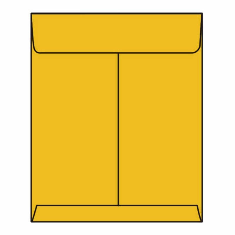 Open End Catalog Envelopes, 10x22 x 13 Y898317