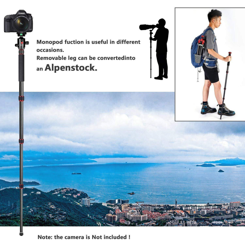 Carbon Fiber 67x22/170cm Tripod Monopod with 360 Degree Ball Head Q55522