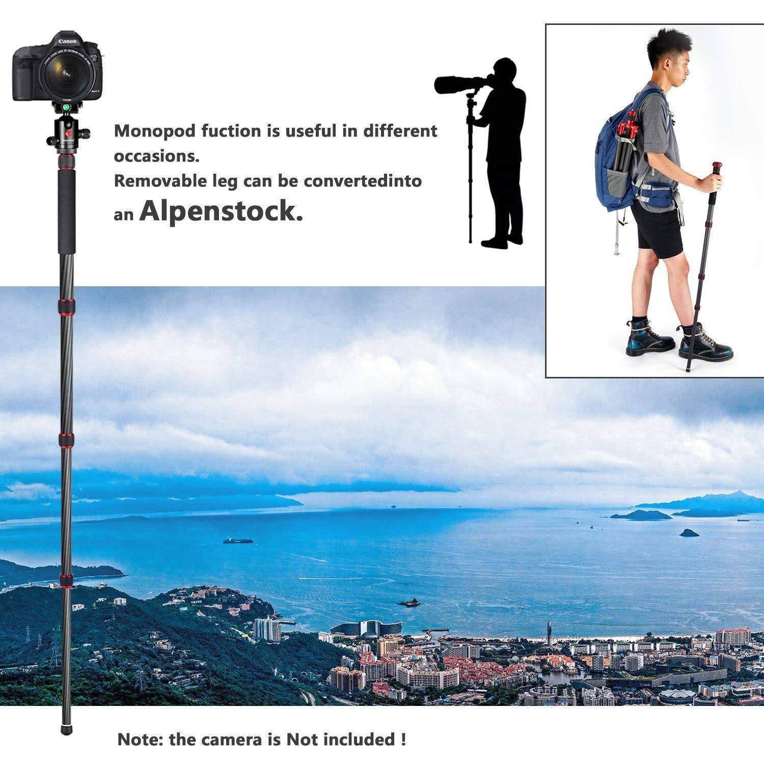 Carbon Fiber 67x22/170cm Tripod Monopod with 360 Degree Ball Head Q55522