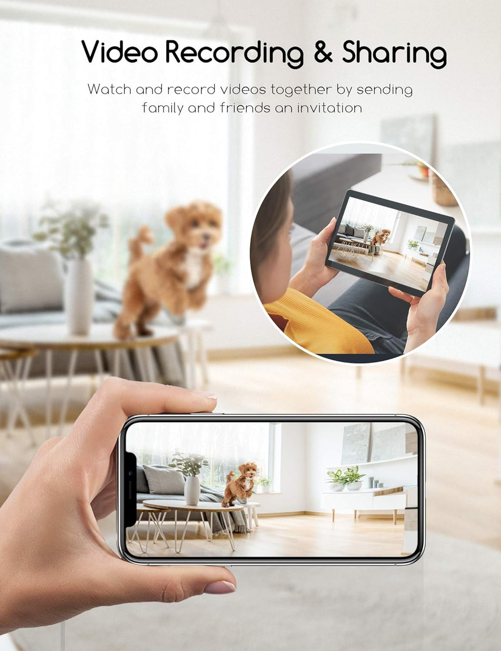 Dog Camera with Treat Dispenser and 1080P Night Vision N586327