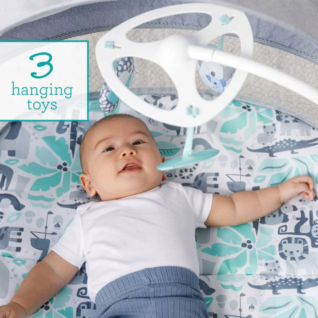 Gray Koala Fold & Go Bassinet N82744