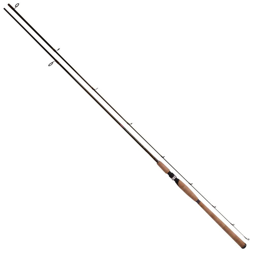 Salmon Steelhead Spinning Fishing Rod A900