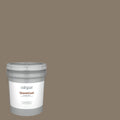Exterior Paint (5-Gallon) Y382