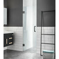 Matte Black Frameless Hinged Shower Door W244