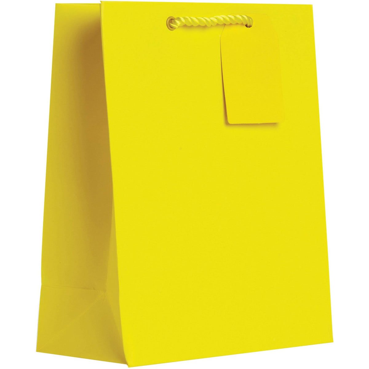Matte Yellow Gift Bags (120 Pieces) N206