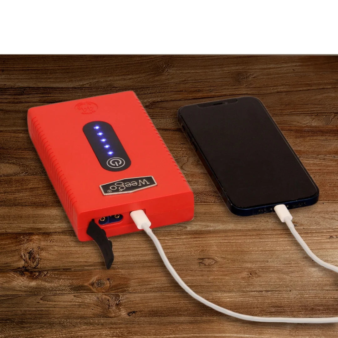 Portable 12V Lithium Jump Starter, 2100 Peak Amp N988136