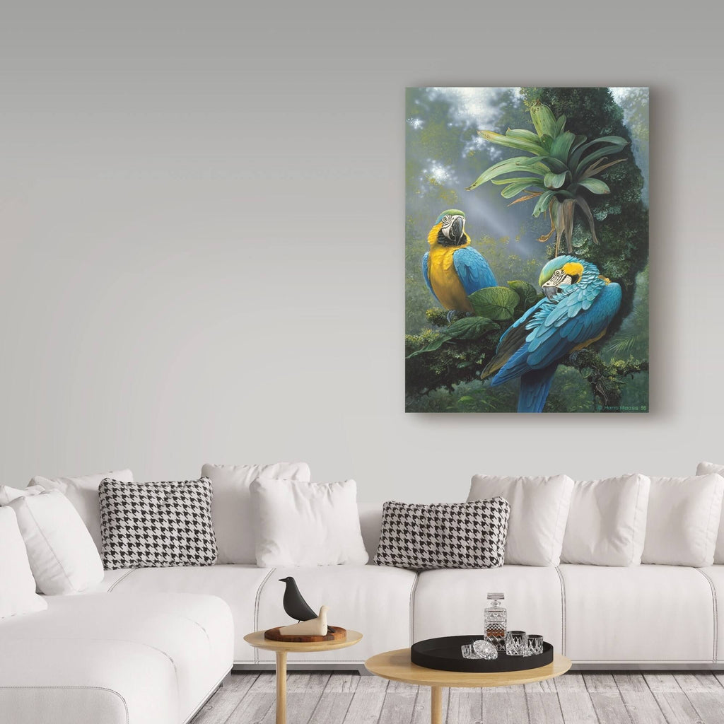 Blue and Yellow Macaw V700387