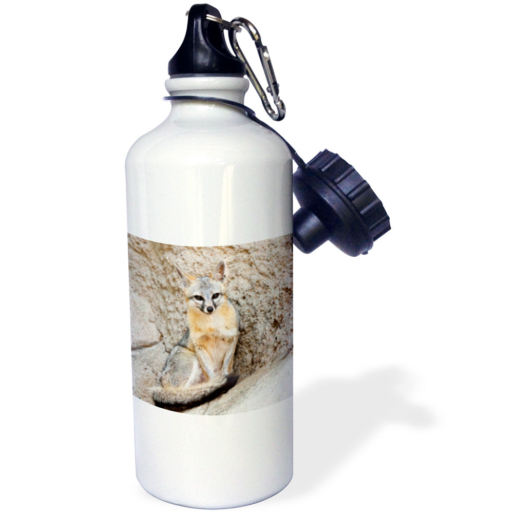 Gray Fox Water Bottle, 21-ounce I832919