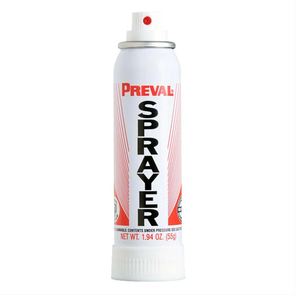 Touch Up Single Stage Spray Paint V611