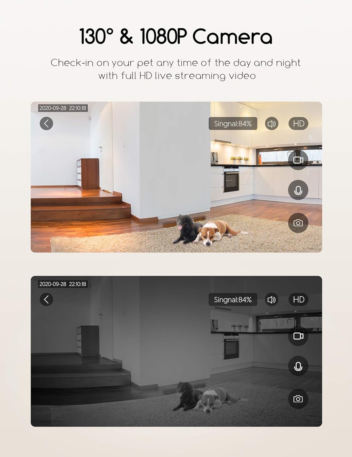 Dog Camera with Treat Dispenser and 1080P Night Vision N586327