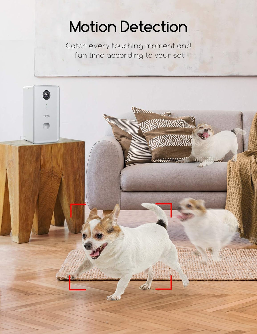 Dog Camera with Treat Dispenser and 1080P Night Vision N586327