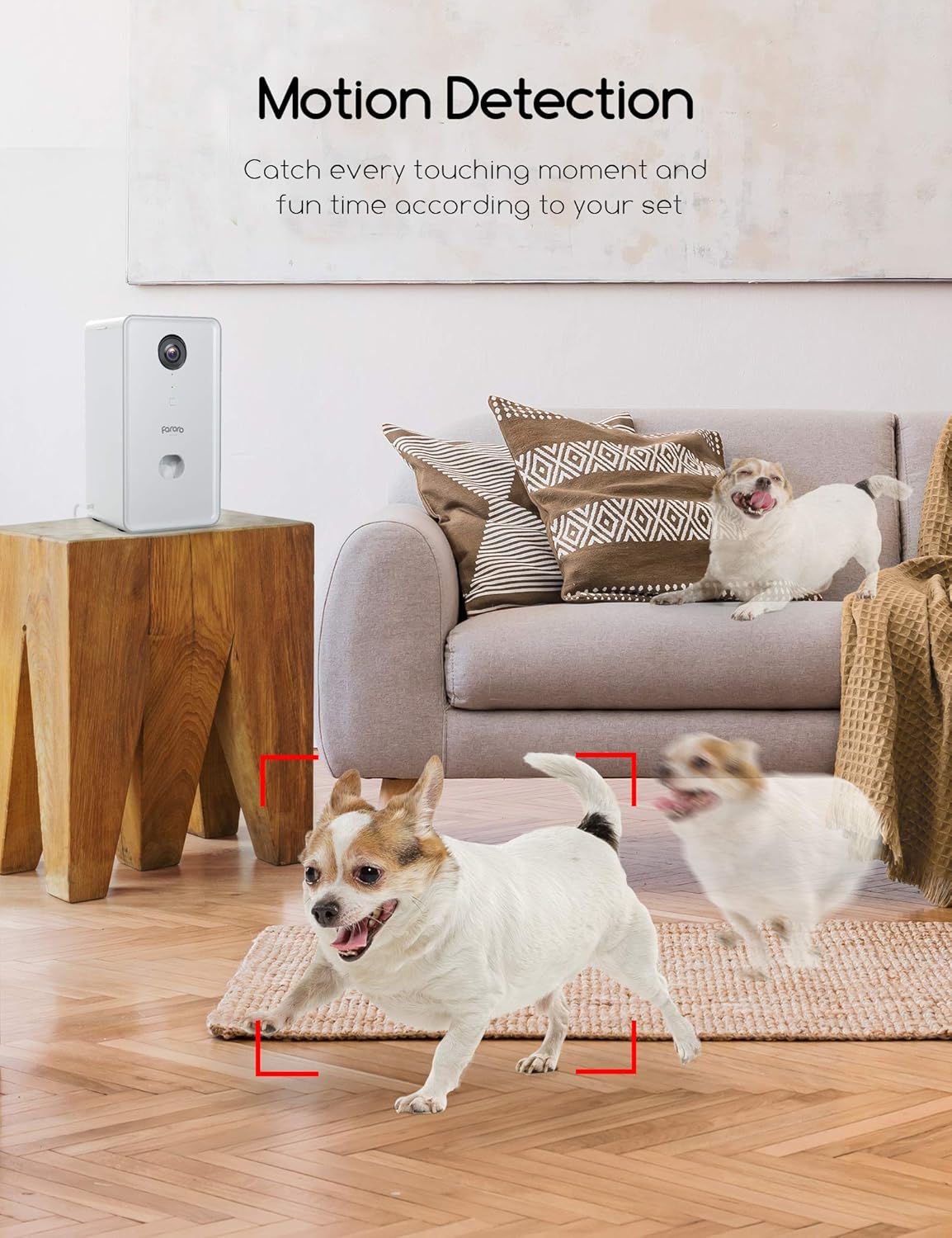Dog Camera with Treat Dispenser and 1080P Night Vision N586327
