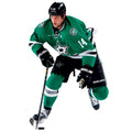 NHL Dallas Stars Wall Decal P52293