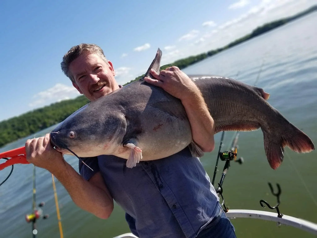 Flexible SNAGLESS Catfish Bottom Bouncing Sinkers B50390