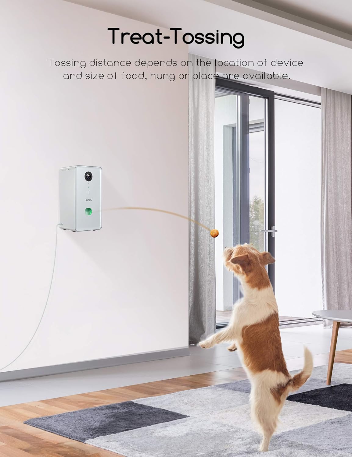 Dog Camera with Treat Dispenser and 1080P Night Vision N586327