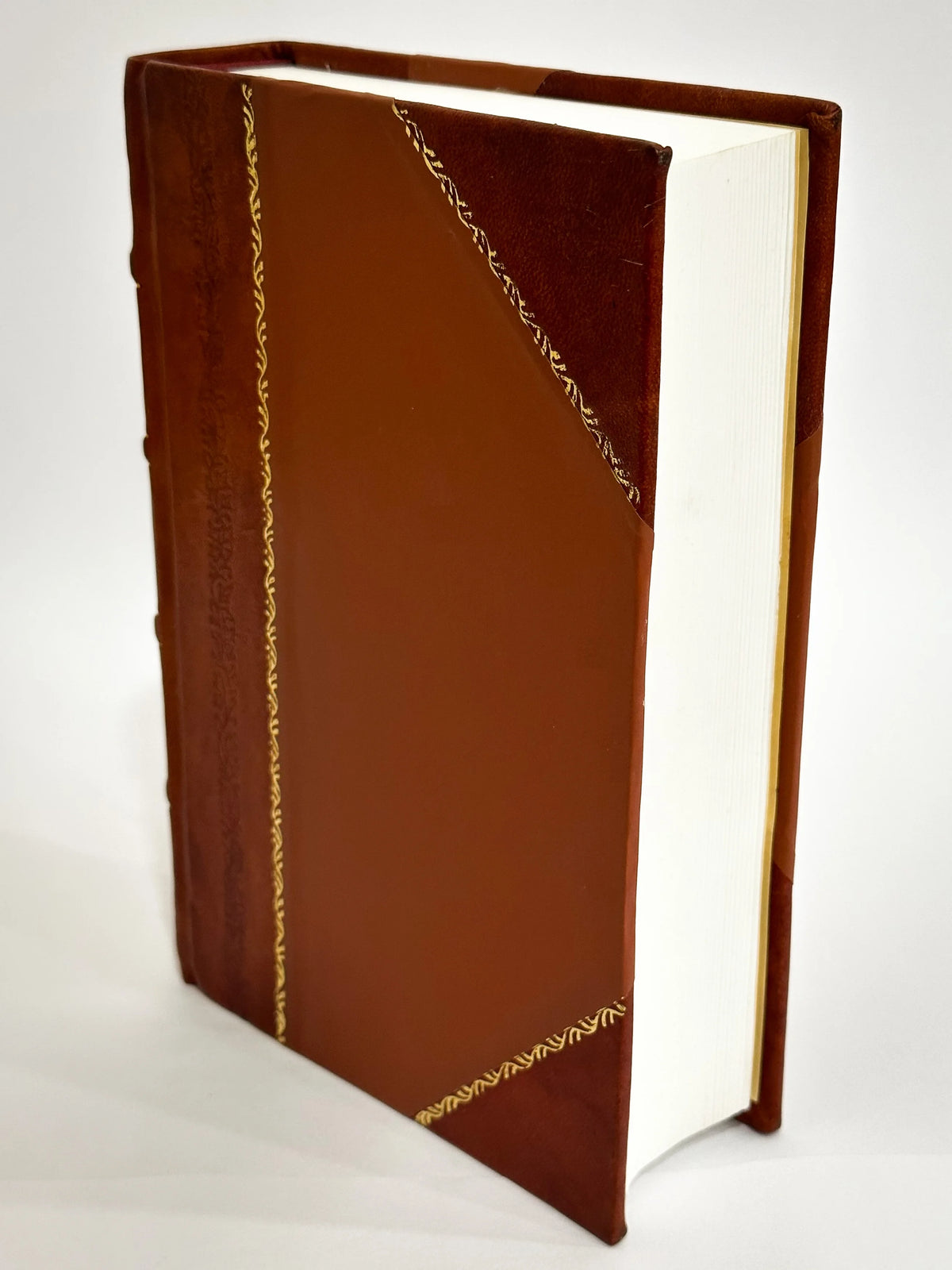 Supreme Court of Nebraska Cases Volume 17 Leather Bound H453