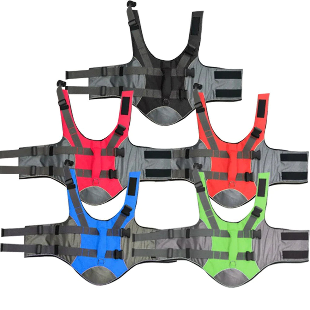 Dog Life Jacket Safety Vest J479715