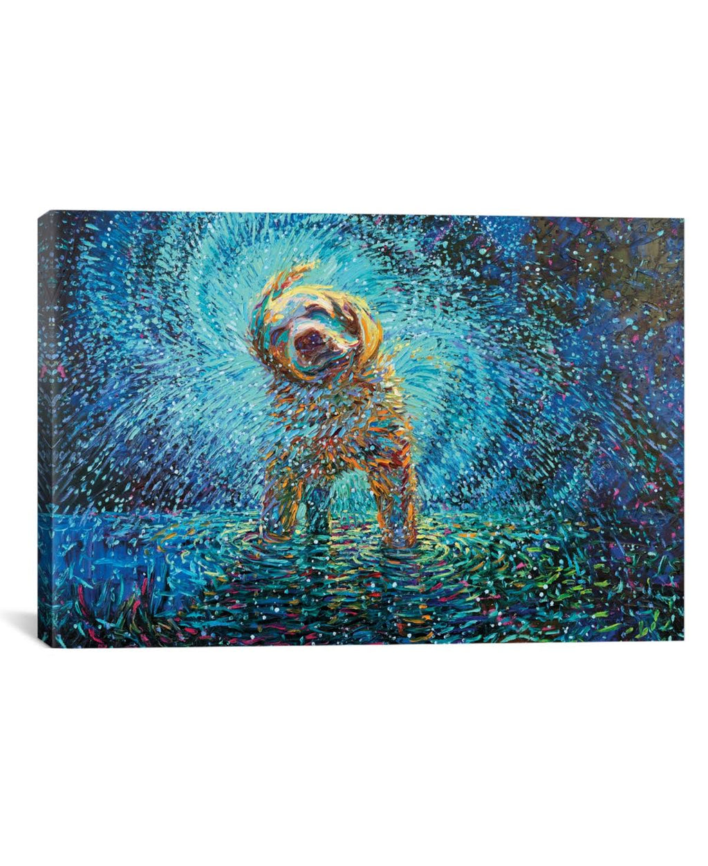 Labrador Jazz by Iris Scott R520165