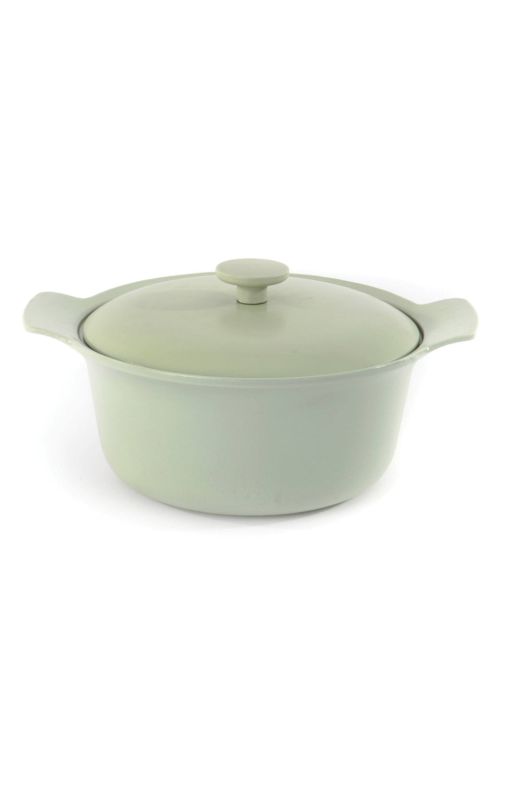 Cast Iron Covered Stockpot I767