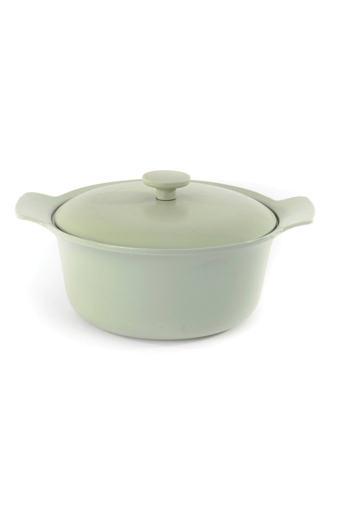 Cast Iron Covered Stockpot I767