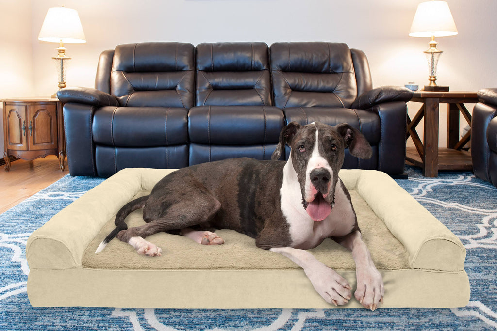 Clay Plush Suede Memory Foam Dog Bed E373664