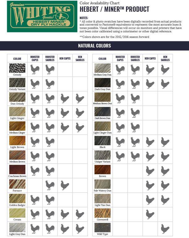 Silver 1/2 Saddle Medium Brown Dun K47466