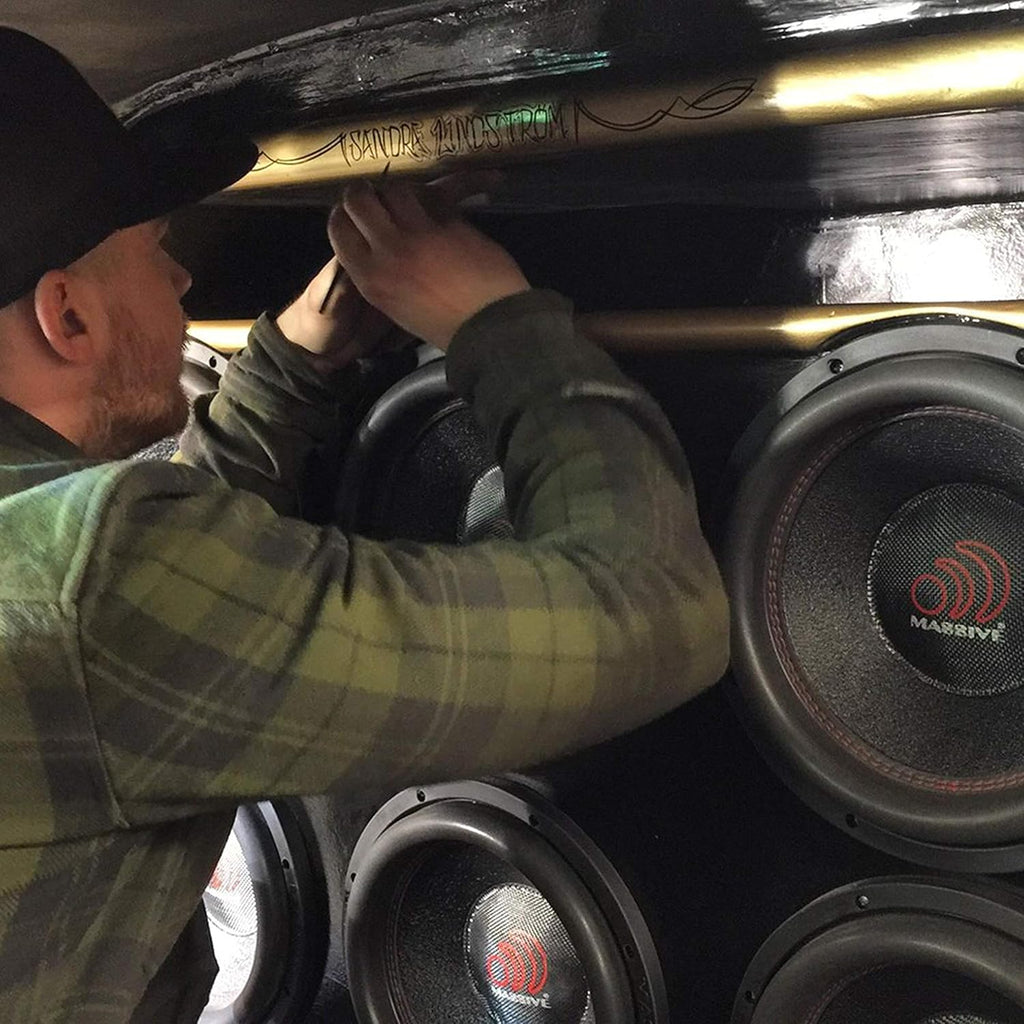 10 Inch Car Audio Subwoofer 700 Watt RMS Dual 2 Ohm N8357