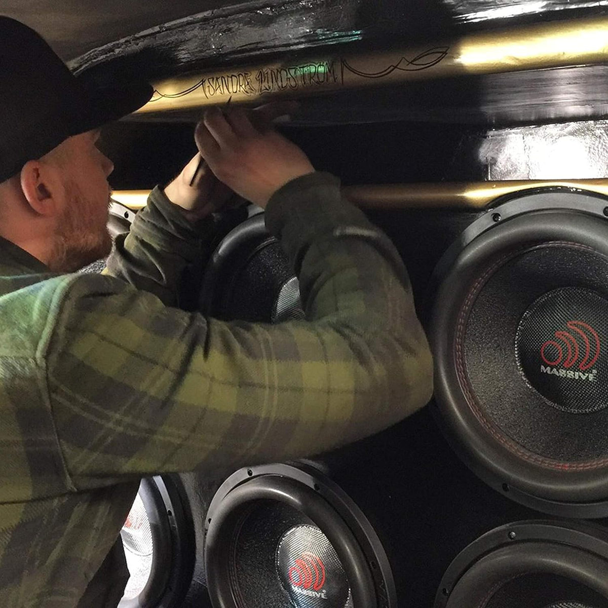 10 Inch Car Audio Subwoofer 700 Watt RMS Dual 2 Ohm N8357