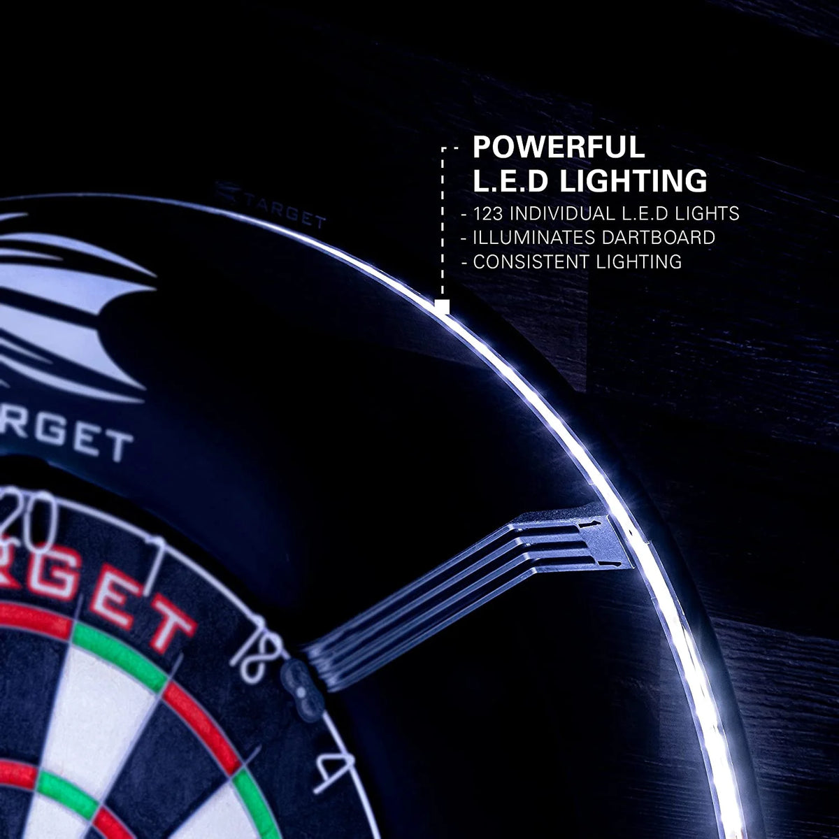 Dartboard with Lighting System N676