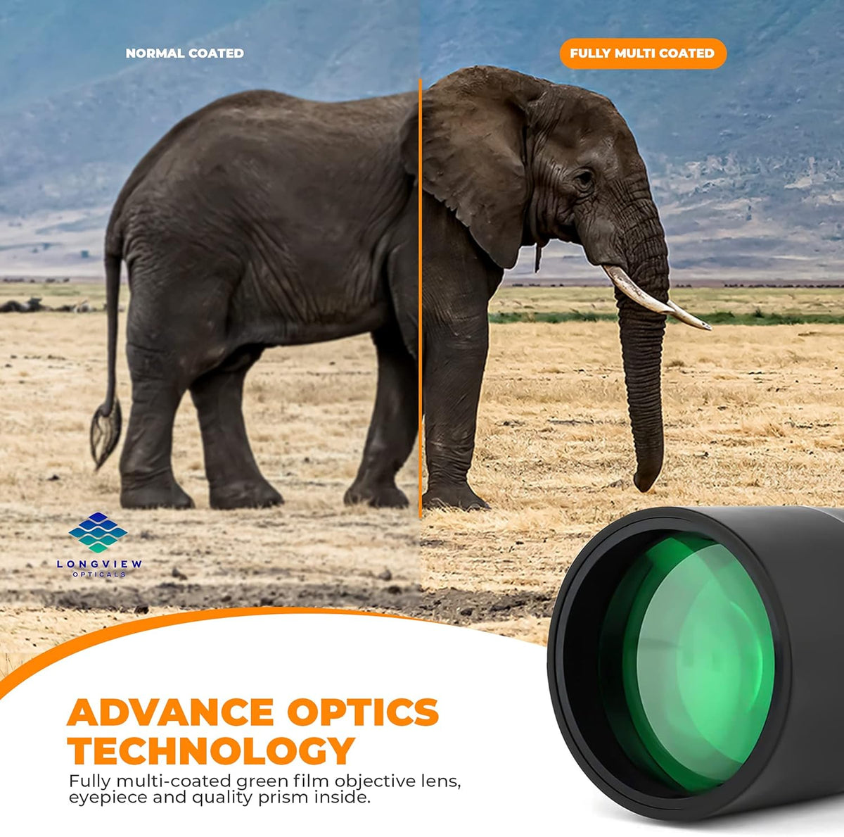Bird Spotting Scope with Tripod and Phone Adapter O88111