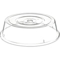 Clear Polycarbonate 12x22 Plate Cover B4333