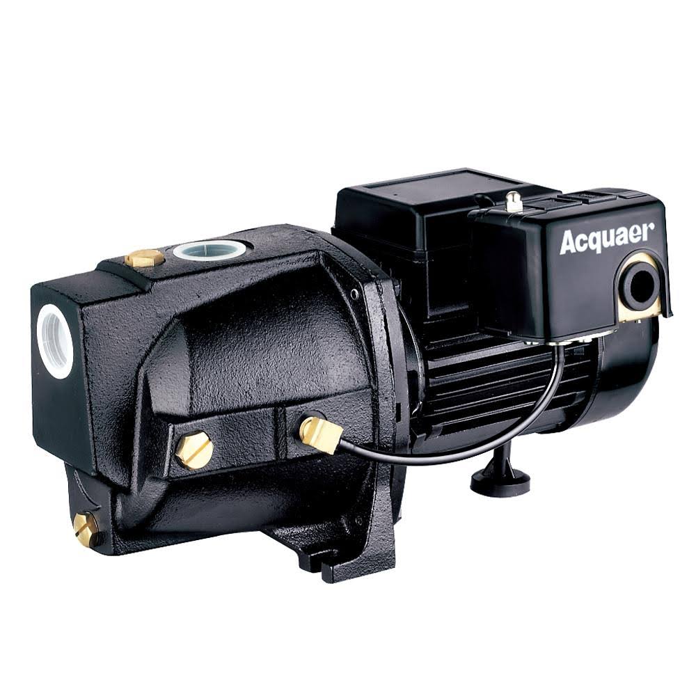 3/4 HP Dual Voltage Cast Iron Shallow Well Jet Pump I706551