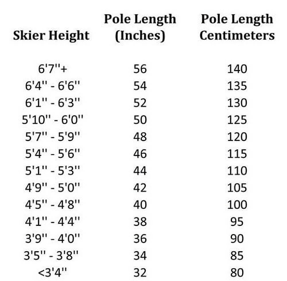 White/Black Alpine Downhill Ski Poles G581