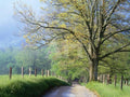 Scenic Seasons Unframed Photographic Print Wall Art E374