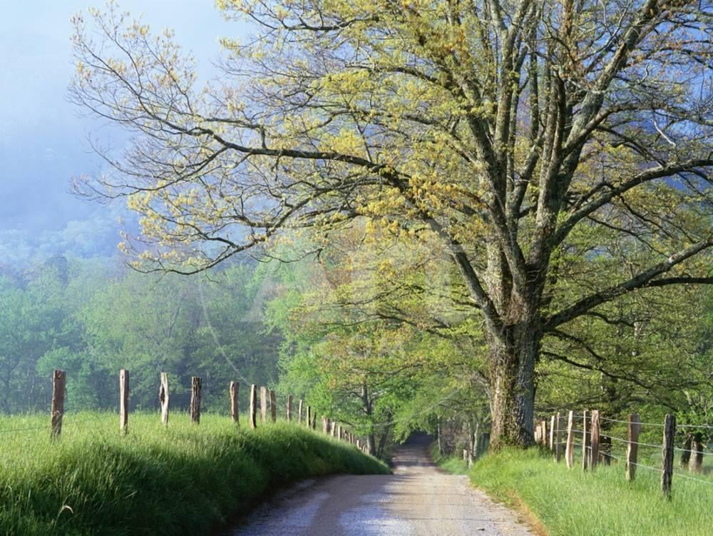 Scenic Seasons Unframed Photographic Print Wall Art E374