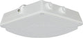 Canopy Light, 4000K Cool White B551